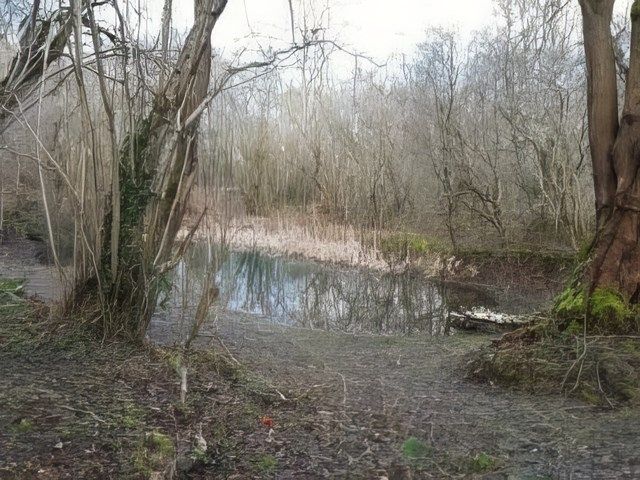 Aberduna Nature Reserve